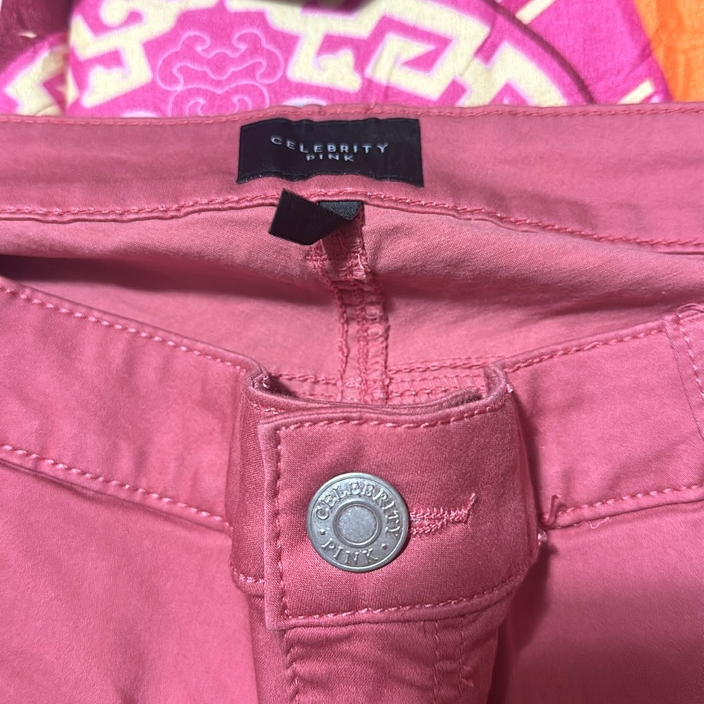 Women’s celebrity pink plus size skinny pants